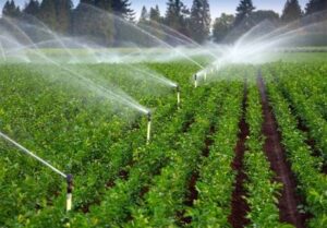 اختصاص 177 میلیارد تومان برای توسعه آبیاری نوین در گلستان