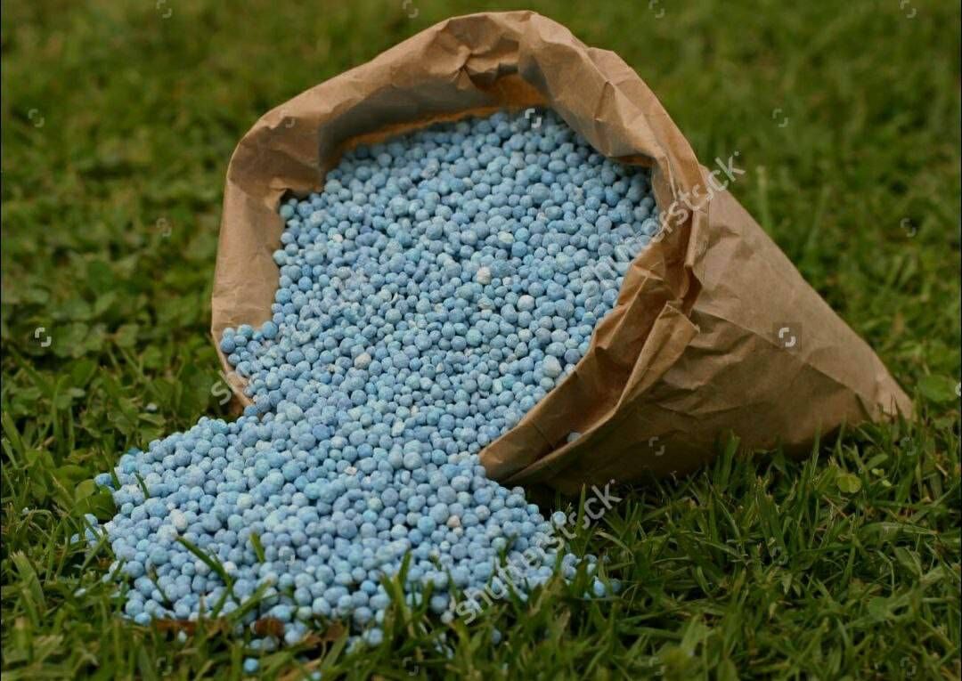 توزیع ۷۸۰۰ تن کود یارانه ای بین کشاورزان استان تهران