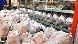 مرغ فاسد در بازار چهارمحال و بختیاری توزیع نشده است