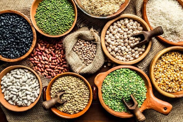 ثبت سفارش واردات حبوبات از ۱۲ شهریور ۱۴۰۵ آغاز شد